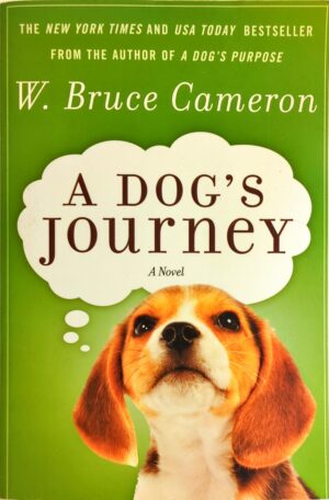A dog's journey
