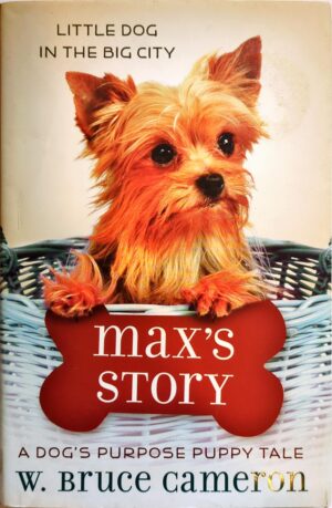 Max's Story